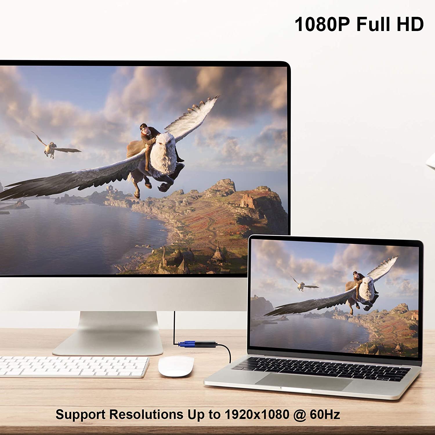 HDMI to VGA Adapter, Gold-Plated HDMI to VGA Converter (Male to Female)